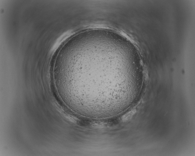 X0000072550199200607281657