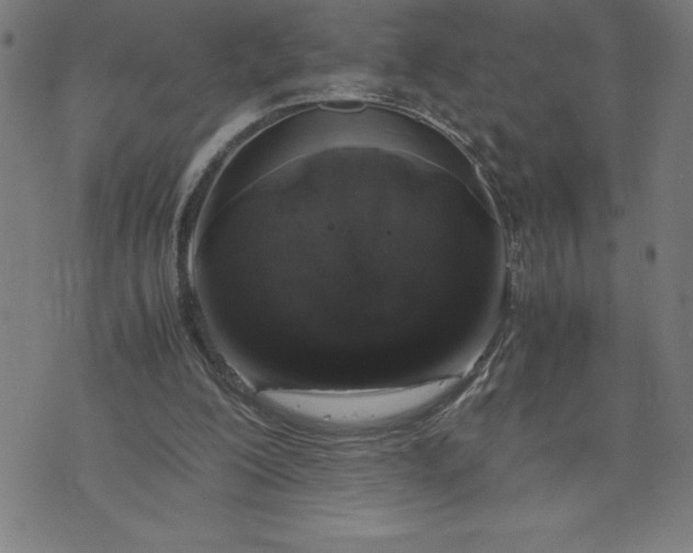 X0000072550200200607281657