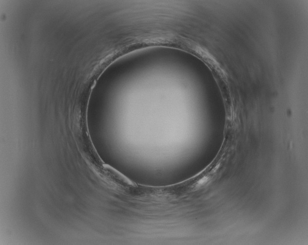 X0000072550201200607281657