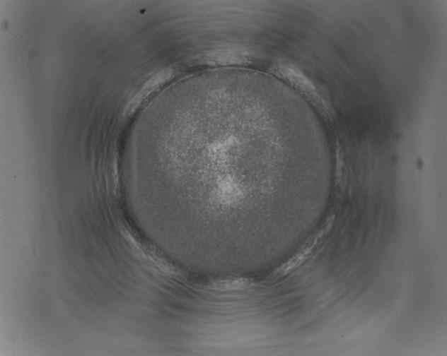 X0000072550202200607281657