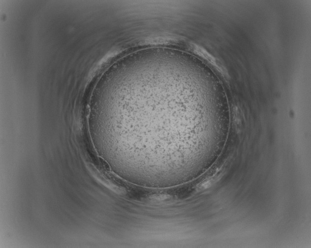 X0000072550203200607281657