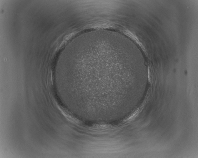 X0000072550205200607281657