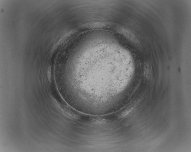 X0000072550206200607281657