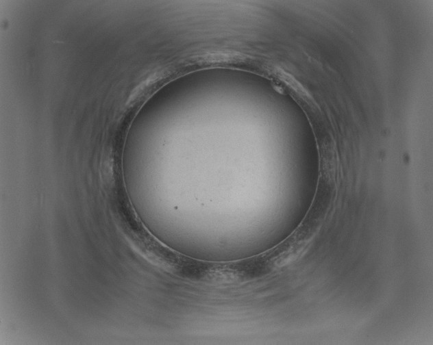 X0000072550207200607281657