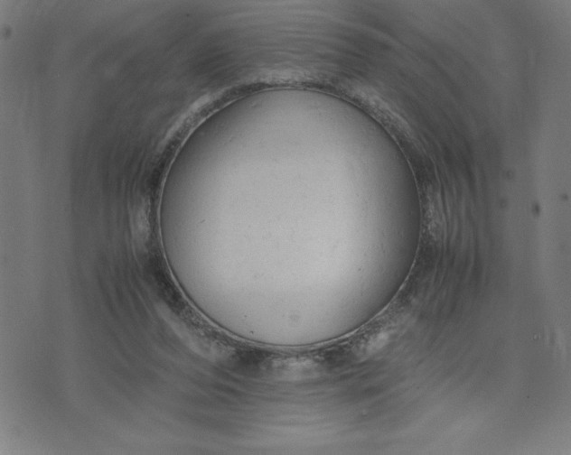 X0000072550208200607281657