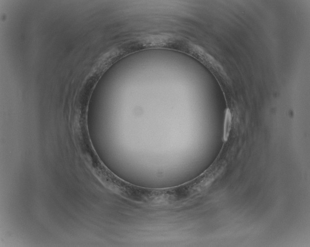 X0000072550209200607281657