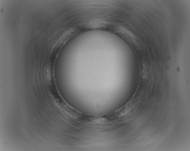 X0000072550210200607281657