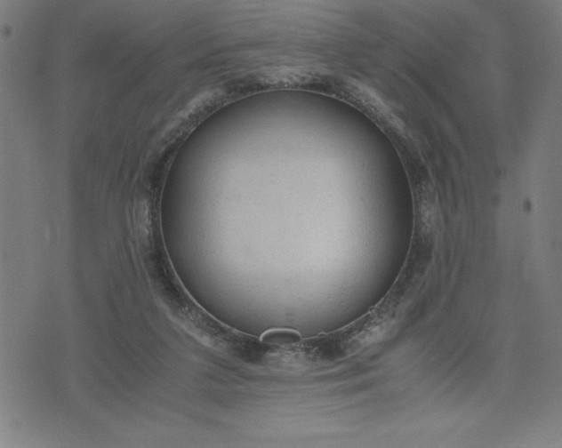 X0000072550211200607281657