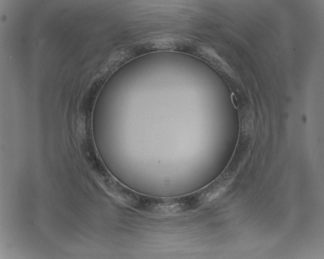 X0000072550213200607281657