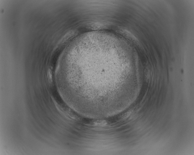 X0000072550214200607281657