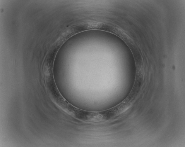 X0000072550215200607281657