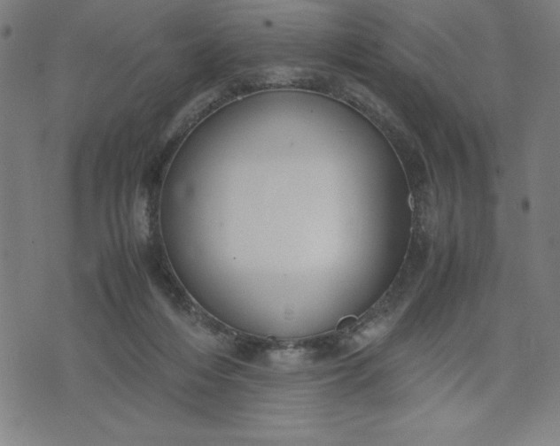 X0000072550216200607281657