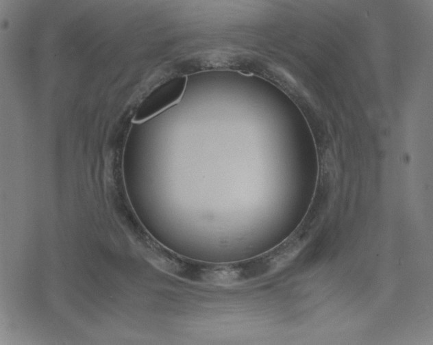 X0000072550217200607281657