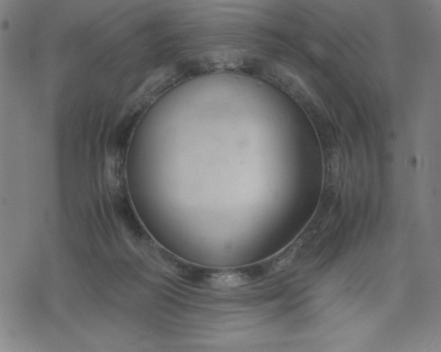 X0000072550218200607281657