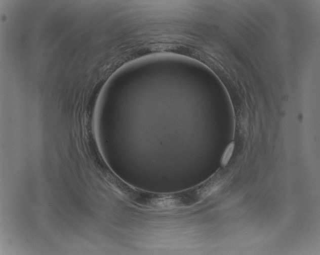 X0000072550219200607281657