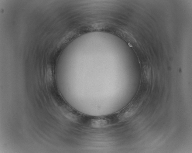 X0000072550220200607281657