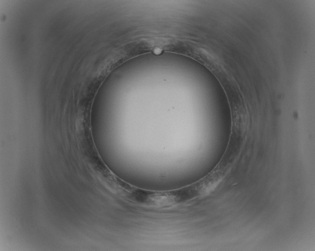 X0000072550221200607281656