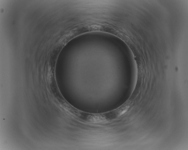 X0000072550223200607281656