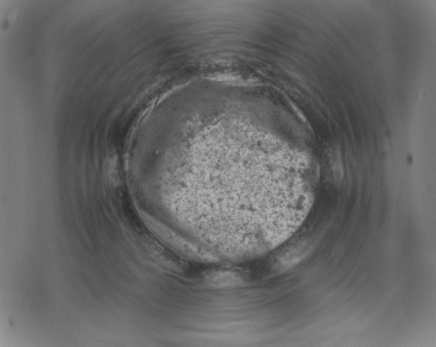 X0000072550224200607281656