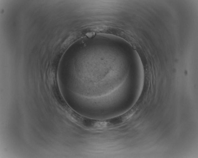 X0000072550227200607281656