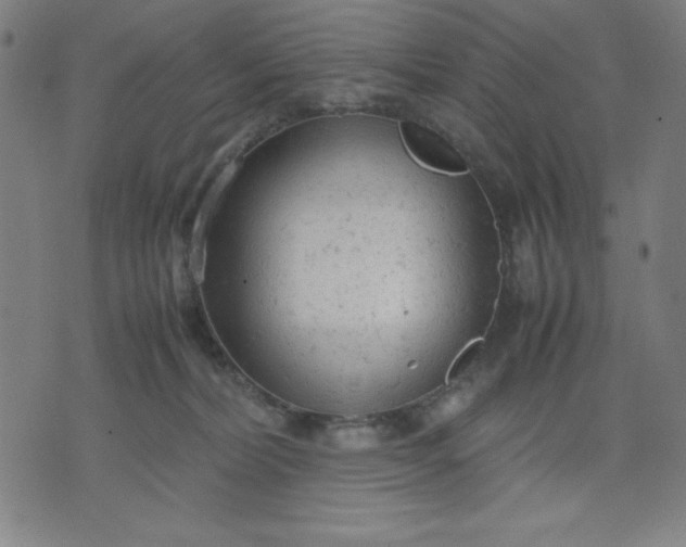 X0000072550228200607281656