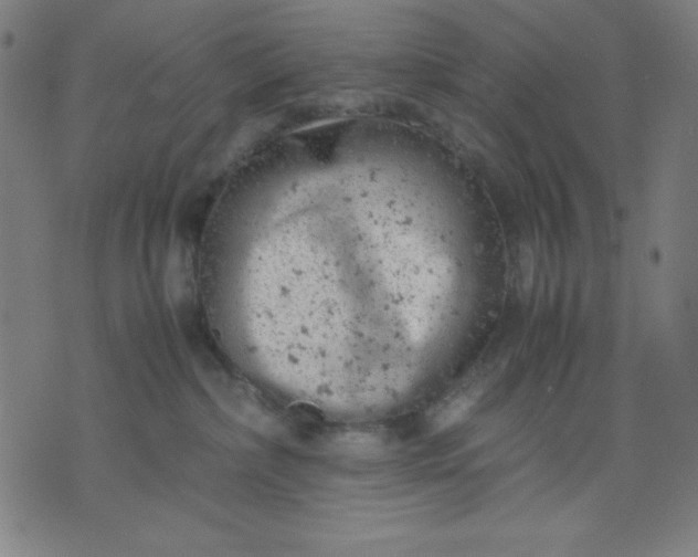 X0000072550236200607281656