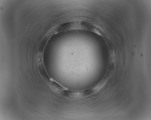 X0000072550237200607281656