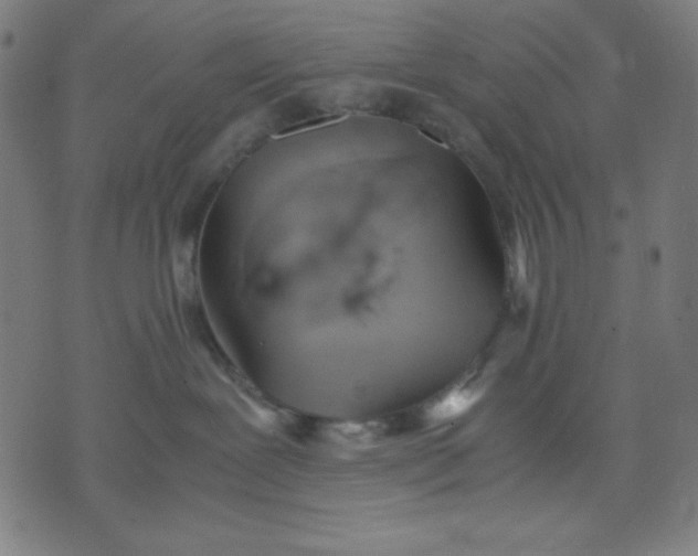 X0000072550239200607281656