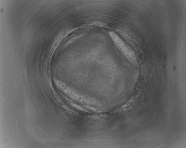 X0000072550241200607281655