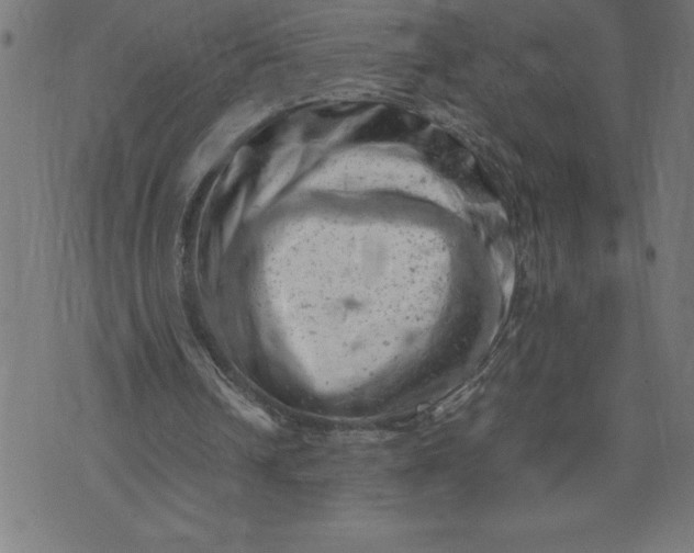 X0000072550242200607281655