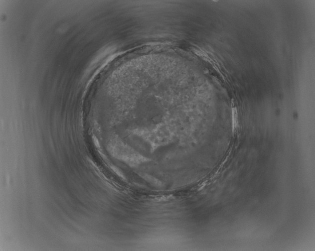 X0000072550243200607281655