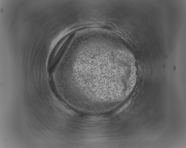 X0000072550246200607281656