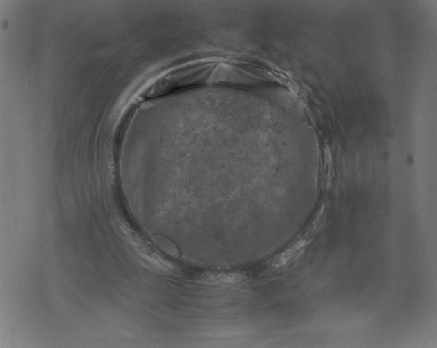 X0000072550247200607281656