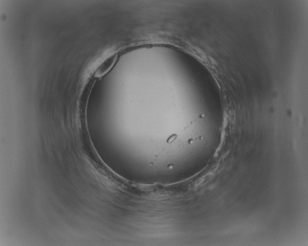 X0000072550248200607281656