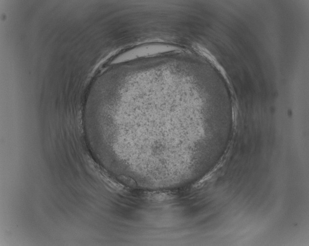 X0000072550249200607281656