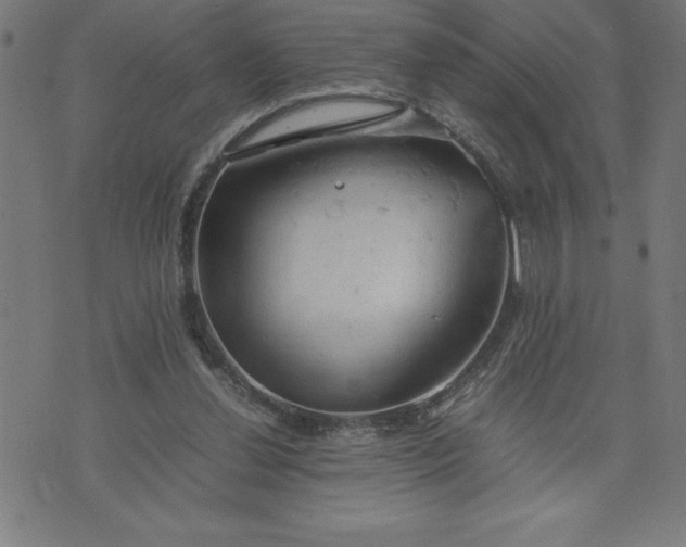 X0000072550252200607281656