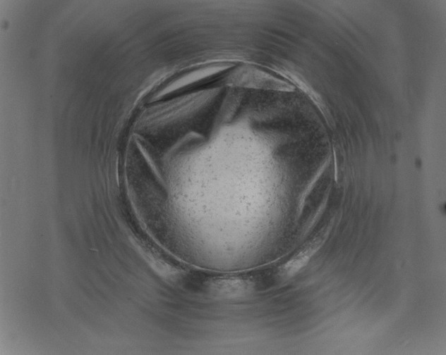 X0000072550253200607281656