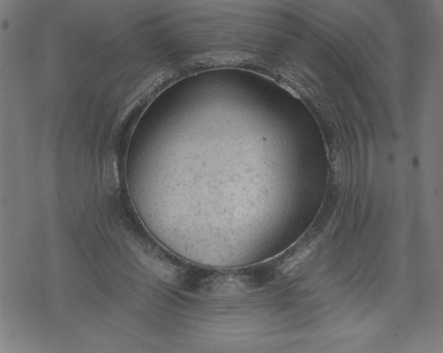 X0000072550254200607281656