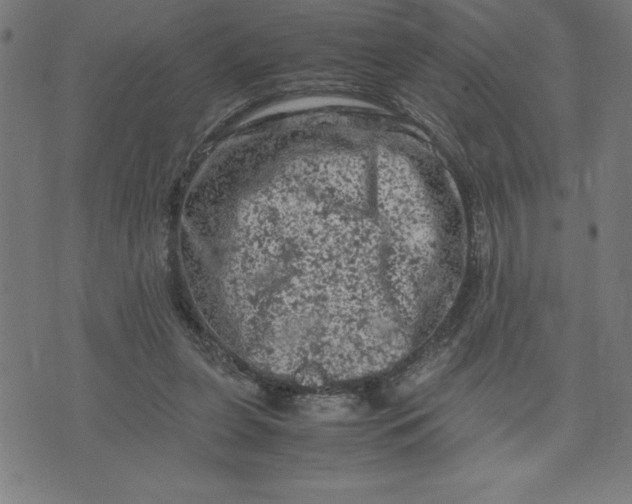 X0000072550255200607281656