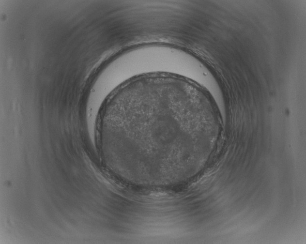 X0000072550256200607281656