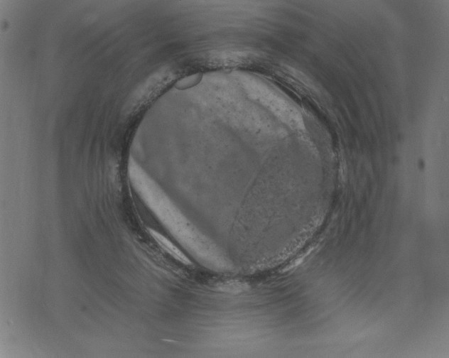 X0000072550258200607281656