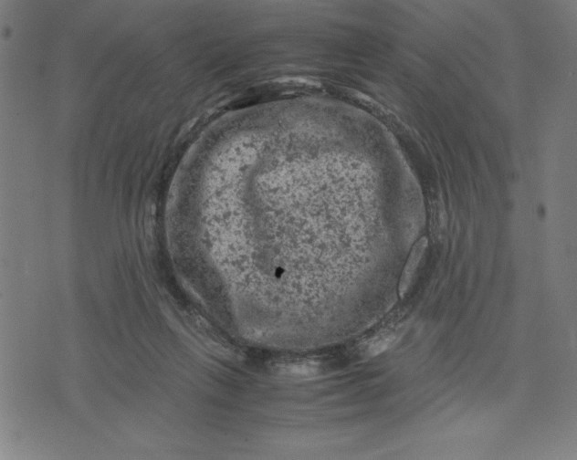 X0000072550263200607281656