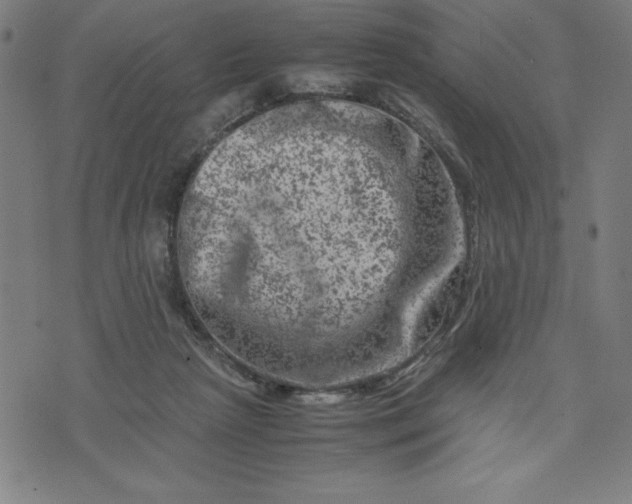 X0000072550265200607281656