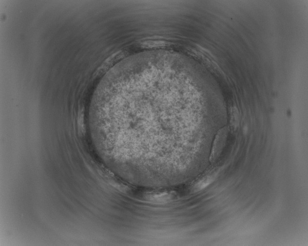 X0000072550267200607281656