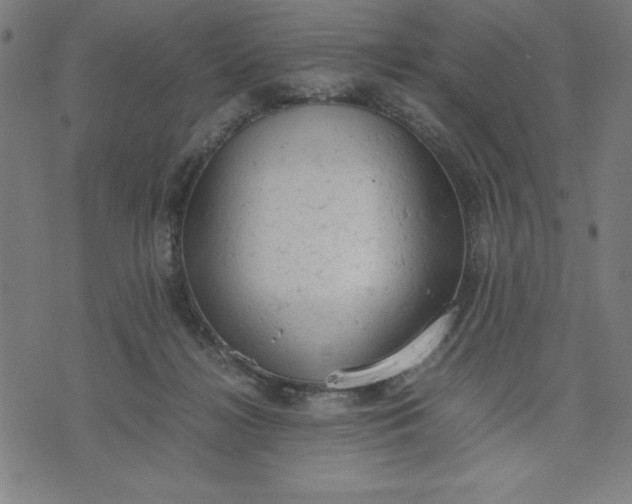 X0000072550268200607281656