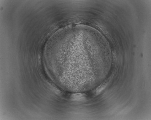 X0000072550269200607281656