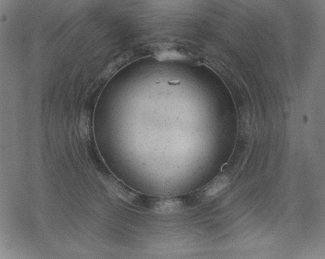 X0000072550274200607281656