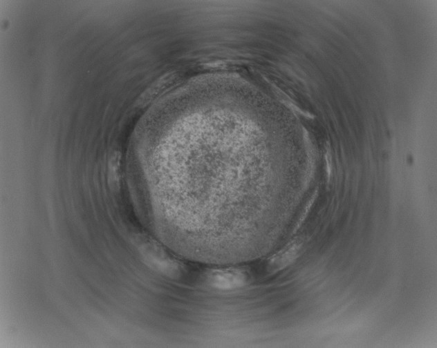 X0000072550275200607281656