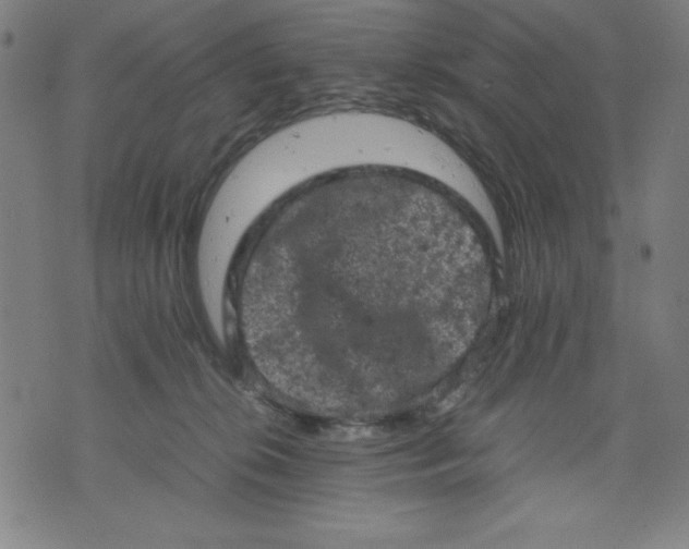 X0000072550276200607281656