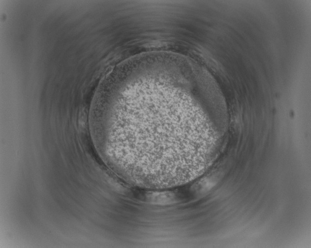 X0000072550277200607281656